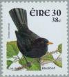 Colnect-129-834-Common-Blackbird-Turdus-merula.jpg