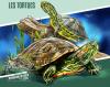 Colnect-4936-918-Malaclemys-terrapin.jpg