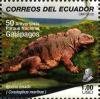 Colnect-506-586-Galapagos-Pink-Land-Iguana-Conolophus-marthae.jpg