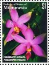 Colnect-5812-427-Phalaenipsis-violacea.jpg