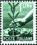 Colnect-1143-887-Hand-planting-an-olive-tree.jpg