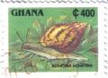 Colnect-1939-307-Giant-Tiger-Land-Snail-Achatina-achatina.jpg
