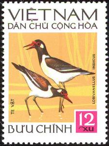 Colnect-5174-531-Red-wattled-Lapwing-Lobivanellus-indicus.jpg