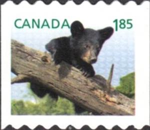 Colnect-1664-133-American-Black-Bear-Ursus-americanus.jpg