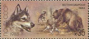 Colnect-195-509-East-Siberian-Laika-Canis-lupus-familiaris.jpg
