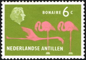 Colnect-2207-388-Flamingoes-Bonaire.jpg