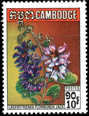 Colnect-2777-214-Wild-Flowers-Lagerstroemia-floribunda-Jack.jpg
