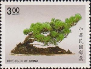 Colnect-3052-949-Japanese-black-pine-Pinus-thunbergii.jpg