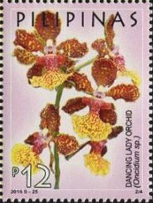 Colnect-3955-606-Dancing-Lady-Orchid-Oncidium-sp.jpg