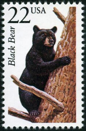 Colnect-4848-568-American-Black-Bear-Ursus-americanus.jpg