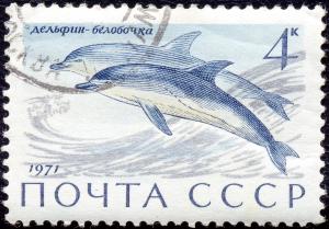 The_Soviet_Union_1971_CPA_4037_stamp_%28Atlantic_White-sided_Dolphins%29_cancelled.jpg