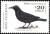 Colnect-1595-834-Austral-Blackbird-Curaeus-curaeus.jpg