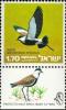 Colnect-2602-204-Spur-winged-Lapwing-Hoplopterus-spinosus.jpg