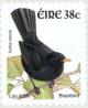 Colnect-129-902-Common-Blackbird-Turdus-merula.jpg