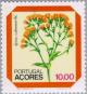 Colnect-185-873-Flower---Lactuca-watsoniana-Frel.jpg