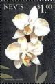 Colnect-4411-209-Phalaenopsis-Aprodite.jpg