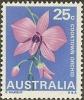 Colnect-431-114-Vappodes-phalaenopsis---Cooktown-Orchid.jpg
