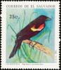 Colnect-2711-490-Red-winged-Blackbird-Agelaius-phoeniceus.jpg