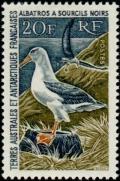 Colnect-885-970-Black-browed-albatross-Diomedea-malanophris.jpg