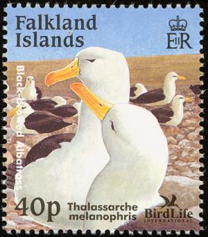 Colnect-1674-629-Black-browed-Albatross-Diomedea-melanophris.jpg