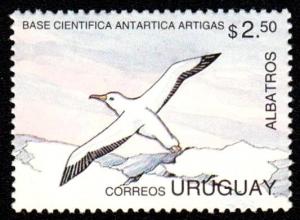 Colnect-2691-563-Black-browed-Albatross-Diomedea-melanophris.jpg