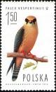 Colnect-1989-660-Red-footed-Falcon-Falco-vespertinus-Female.jpg
