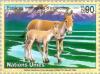 Colnect-138-660-Asian-Wild-Ass-Equus-hemionus-.jpg