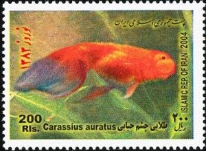 Colnect-1592-439-Breed-Form-of-Goldfish-Carassius-auratus-auratus.jpg