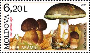 Stamp_of_Moldova_014.jpg