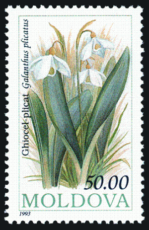 Stamp_of_Moldova_123.gif
