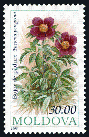Stamp_of_Moldova_267.gif