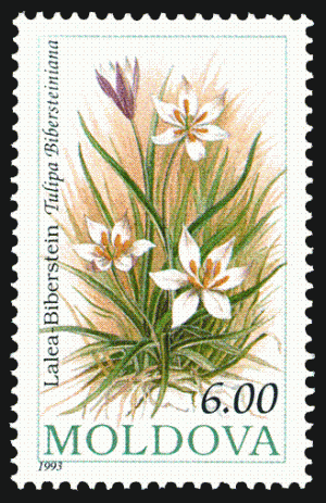 Stamp_of_Moldova_378.gif