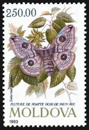Stamp_of_Moldova_421.gif