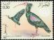 Colnect-1650-676-Northern-Bald-Ibis-Geronticus-eremita.jpg
