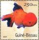 Colnect-1740-456-Breed-Form-of-Goldfish-Carassius-auratus-auratus.jpg