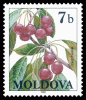 Stamp_of_Moldova_106.gif