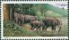 Colnect-1433-696-Asian-Elephant-Elephas-maximus.jpg