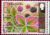 Colnect-1472-140-Bramble---Rubus-fruticosus.jpg