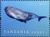 Colnect-1696-285-Sperm-Whale-Physeter-macrocephalus.jpg