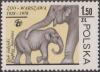 Colnect-1795-077-Asian-Elephant-Elephas-maximus.jpg