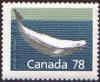 Colnect-209-623-Beluga-Whale-Delphinapterus-leucas.jpg