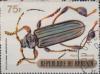 Colnect-2181-131-Longhorn-Beetle-Phyllocnema-viridicostata.jpg
