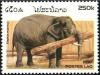Colnect-2785-381-Asian-Elephant-Elephas-maximus.jpg