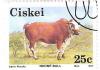 Colnect-2797-724-Nkone-Cattle-Bos-primigenius-taurus.jpg