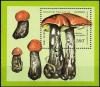 Colnect-2944-277-Boletus-versipellis.jpg