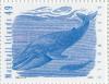 Colnect-2951-890-Blue-Whale-Balaenoptera-musculus.jpg
