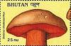 Colnect-3223-913-Boletus-rhodoxanthus.jpg