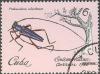 Colnect-660-284-Longhorn-Beetle-Pinthocoelium-columbinum.jpg