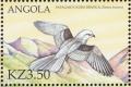 Colnect-1240-334-White-tailed-Kite-Elanus-leucurus.jpg