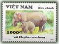 Colnect-1637-199-Asian-Elephant-Elephas-maximus.jpg